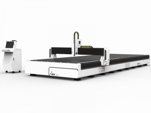 Special size XXL T-Rex 800x2600mm